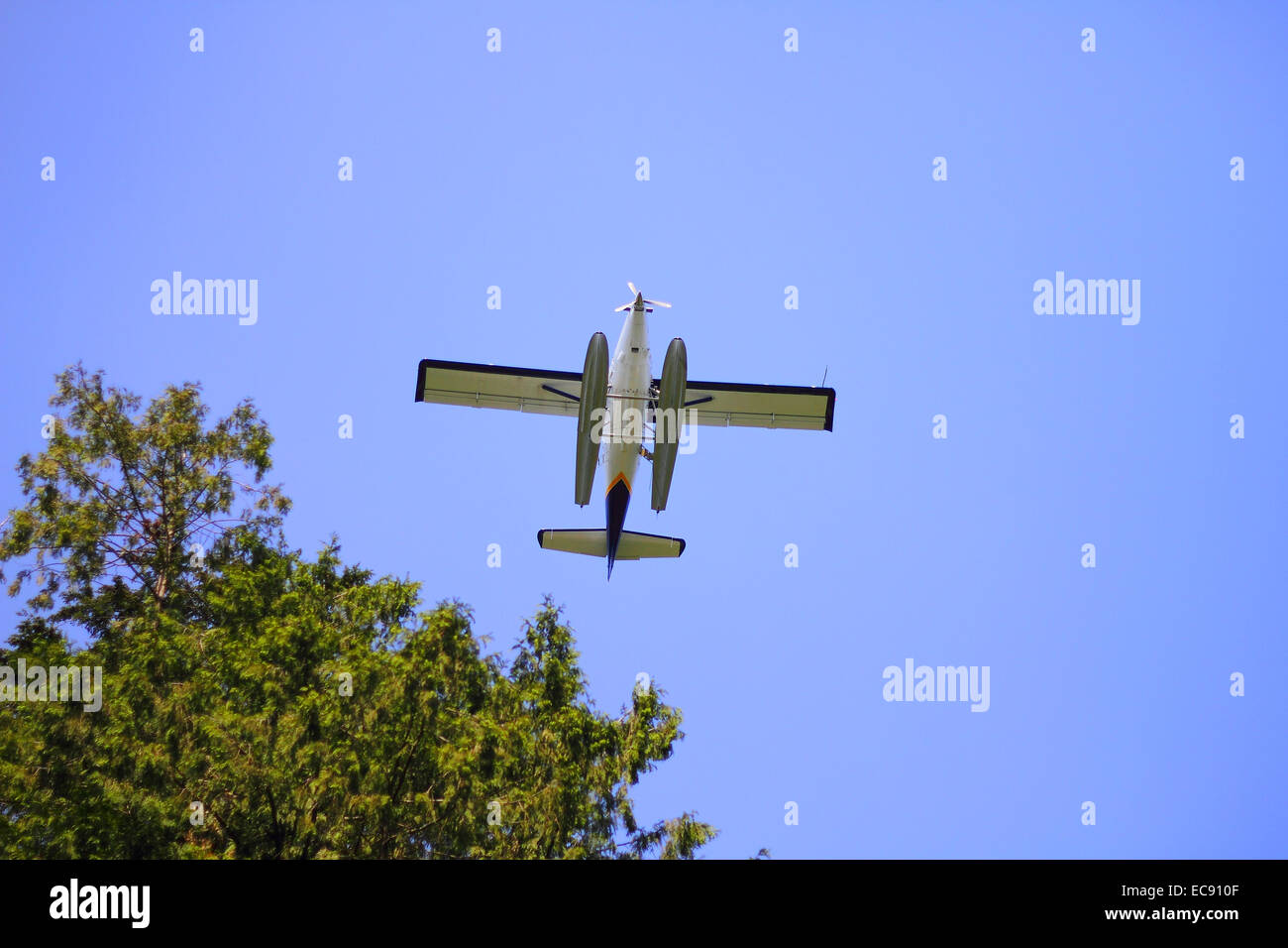 Un piccolo galleggiante aereo sopra gli alberi Foto Stock