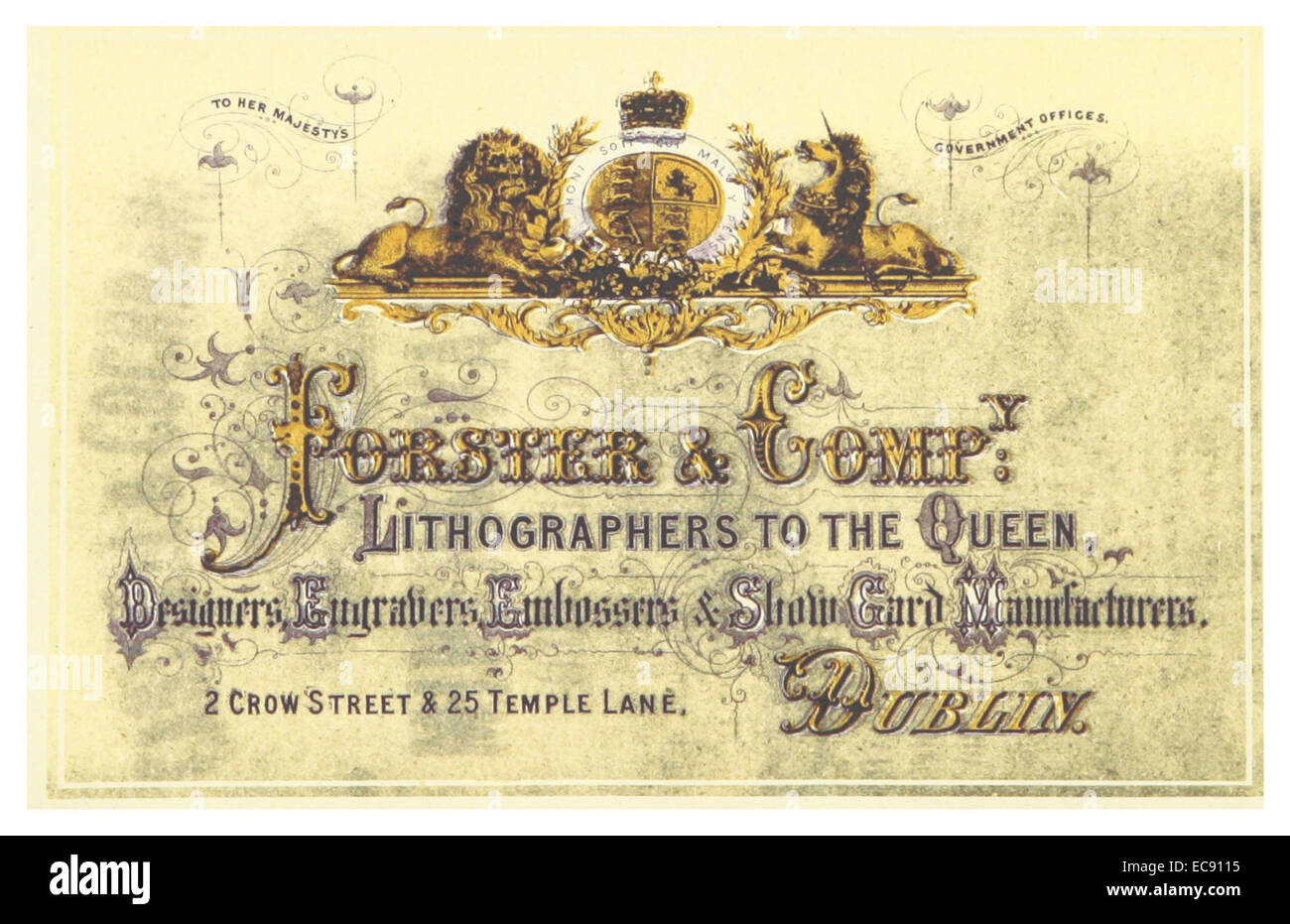 Questa illustrazione del 1871 di Godkin & Walker raffigura una litografia di Forster & Co., che mostra una vista di Dublino. L'immagine offre una vista dettagliata della città e della sua architettura durante la fine del XIX secolo. Foto Stock