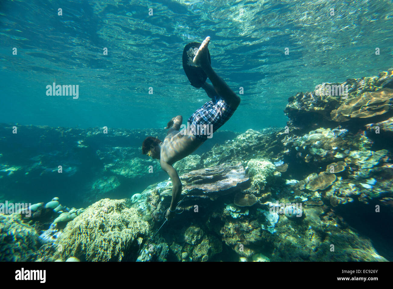 Un uomo Agta cerca di pesce e di aragosta Foto Stock