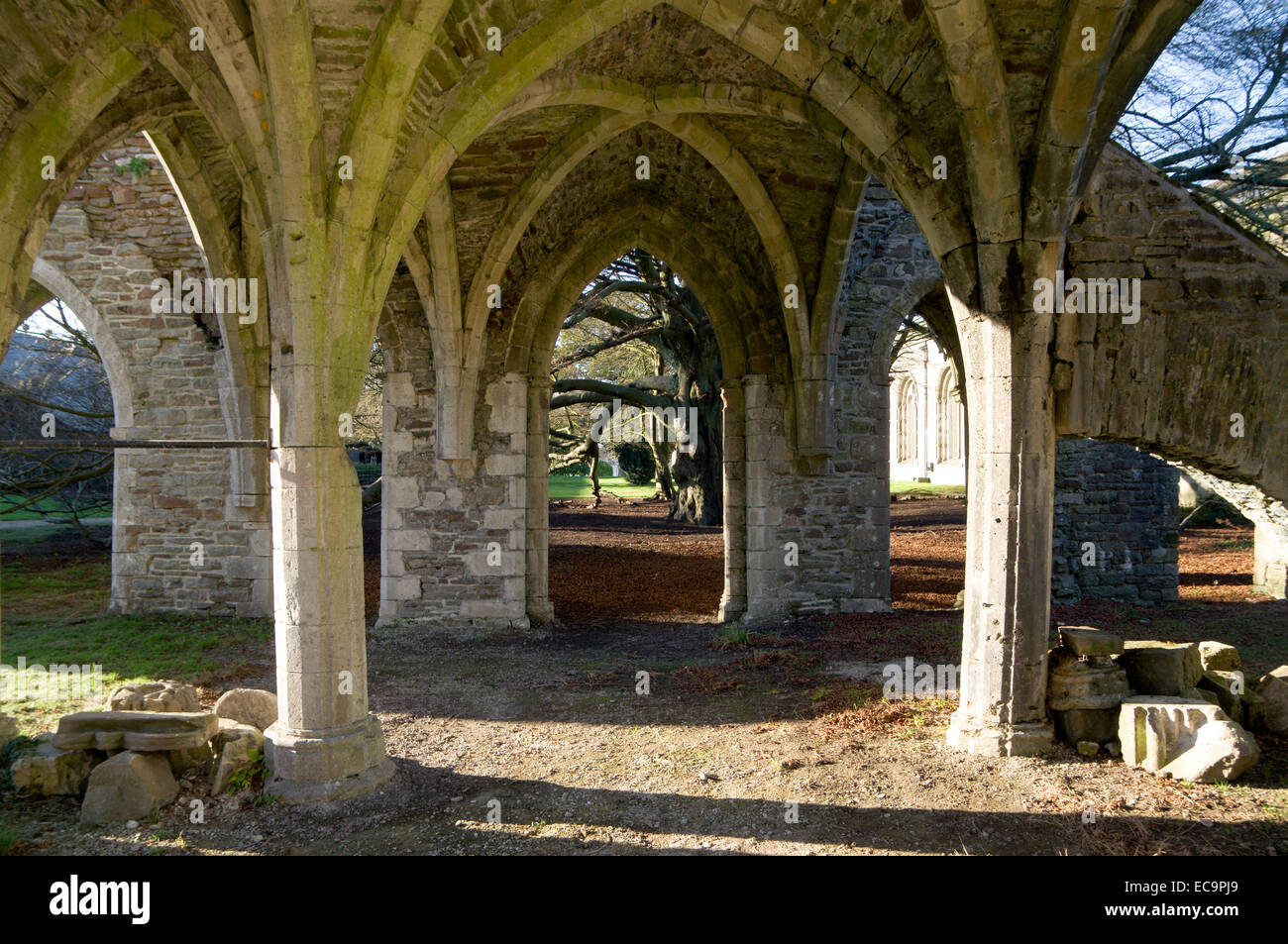 Capitolo cistercense House, Margam Manor Country Park, Port Talbot, Galles. Foto Stock