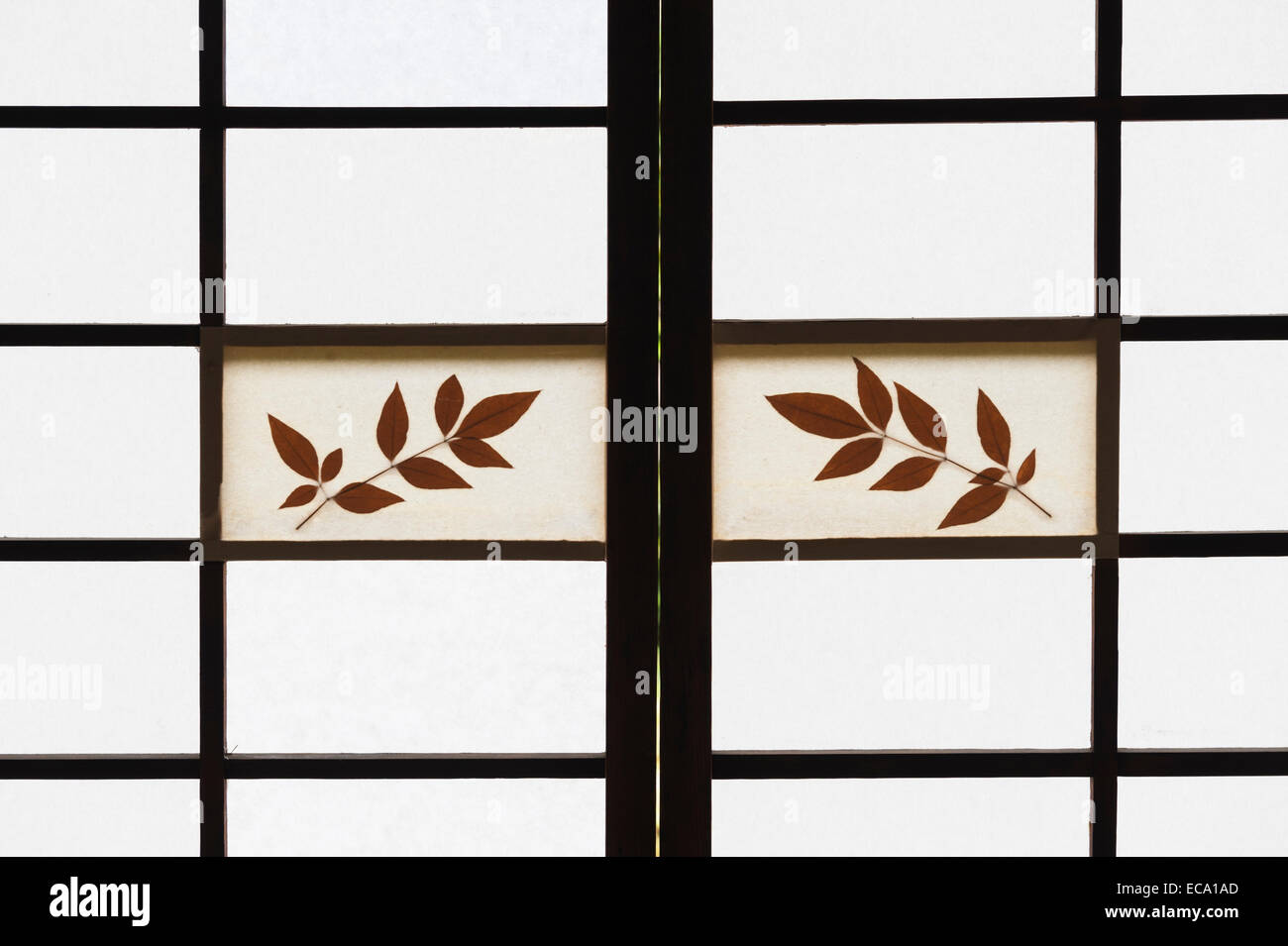 Tempio Funda-in zen a Tofuku-ji, Kyoto, Giappone. Tradizionali porte scorrevoli in carta (shoji) nella sala ricevimento, con piante essiccate utilizzate per la decorazione Foto Stock