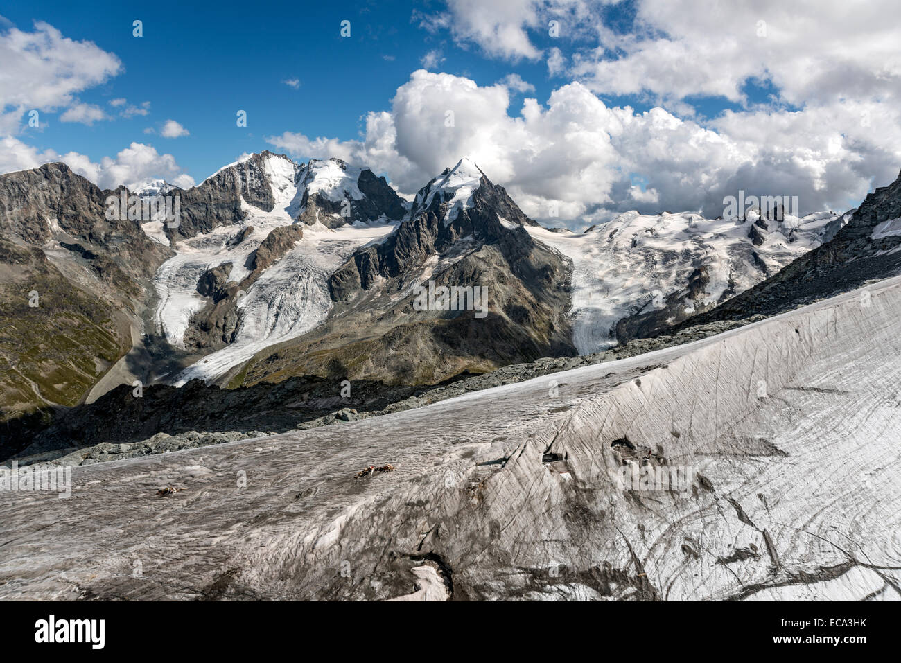 Piz Roseg, Sellagletscher und Piz Bernina visto dal Piz Corvatsch stazione di montagna, Grigioni, Svizzera. Foto Stock