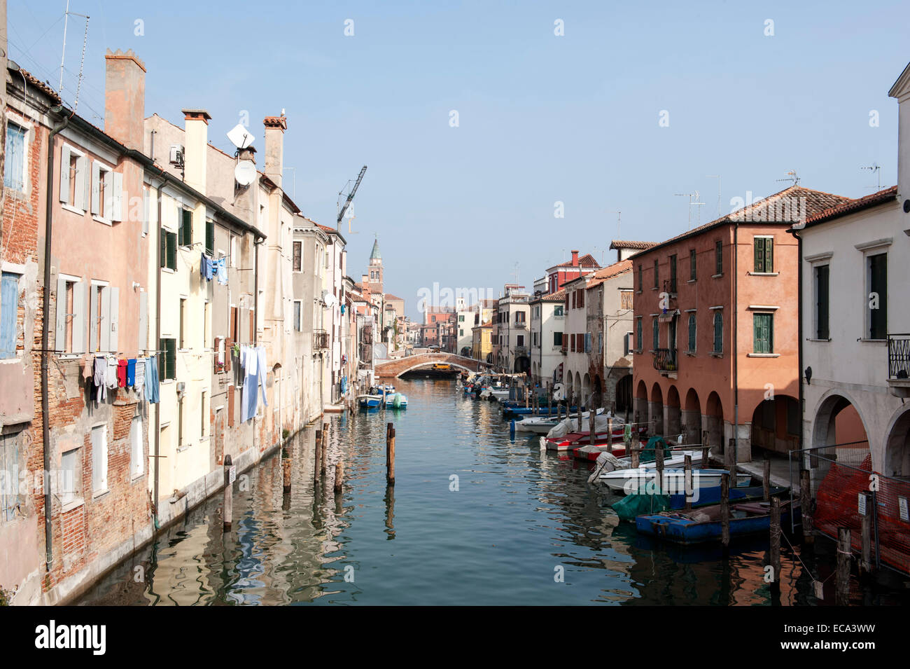 Case sul Canal Vena nel centro storico, Chioggia, Veneto, Italia Foto Stock