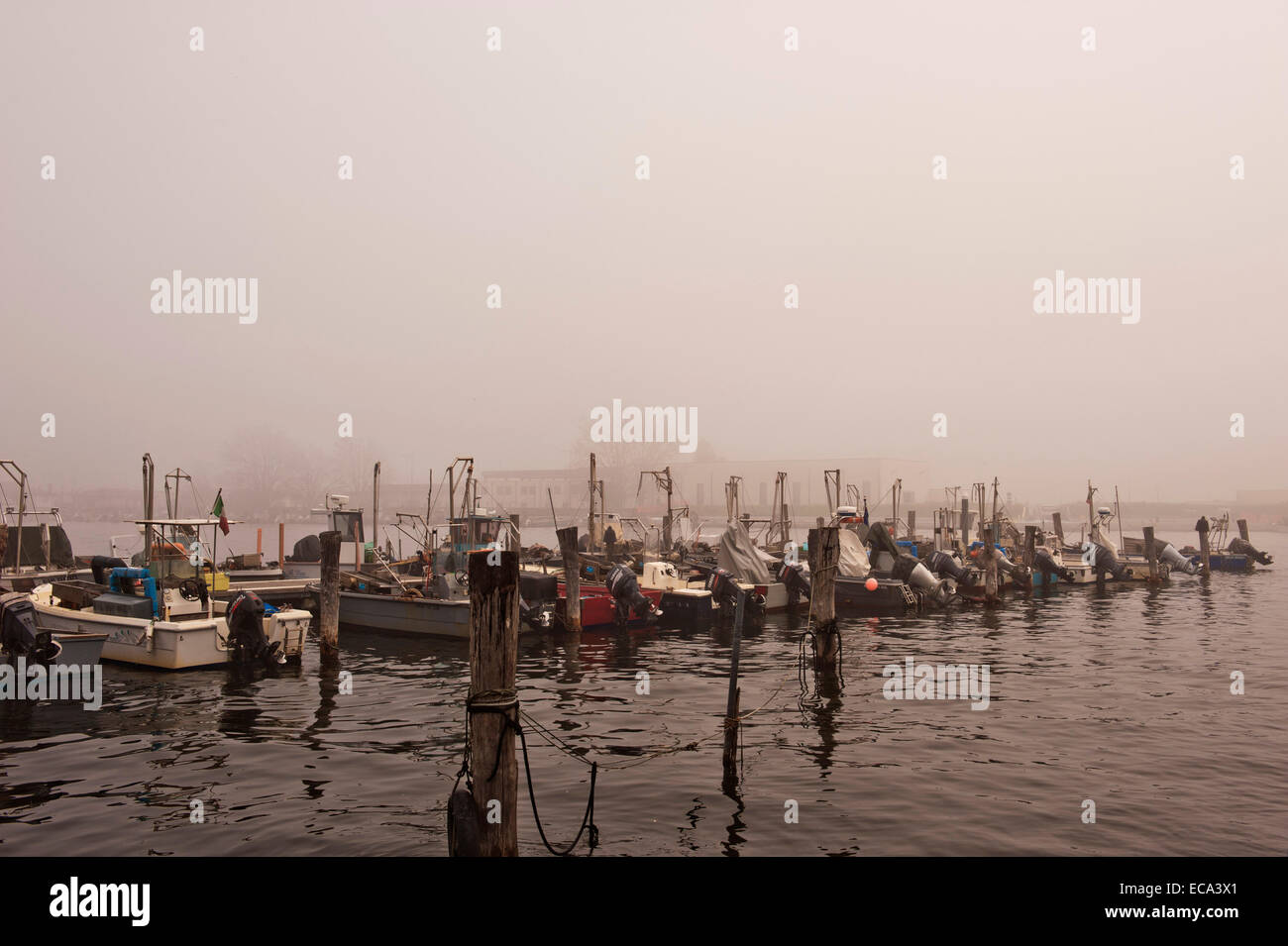 Barche da pesca nel porto di pesca di Goro, Delta del Po, il Delta del Po, Ferrara, Emilia Romagna, Italia Foto Stock