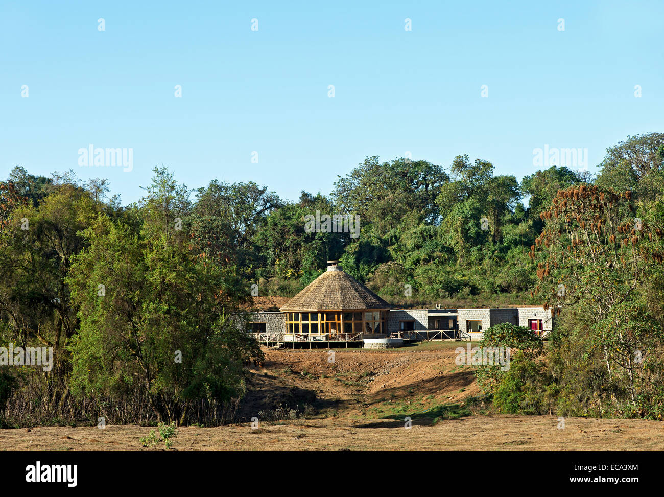 Balla Mountain Lodge, foresta di Harenna, montagne di balle, Oromiya, Etiopia Foto Stock