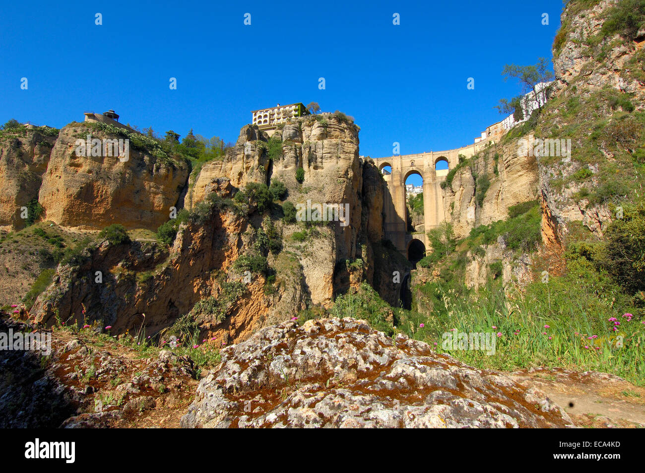 Puente Nuevo, new bridge spanning Tajo Gorge, Ronda, provincia di Malaga, Andalusia, Spagna, Europa Foto Stock
