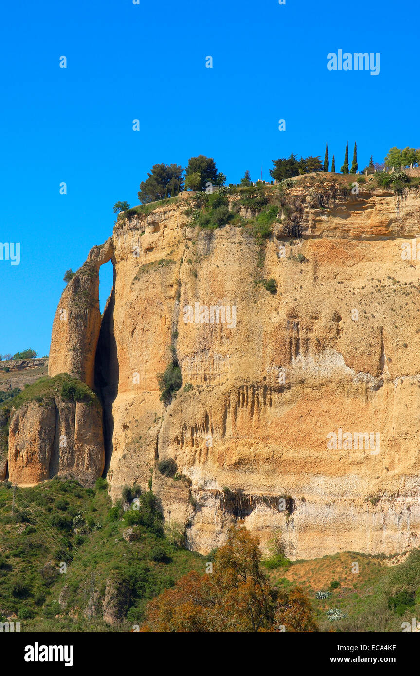 Asa de la Caldera, Tajo Gorge, Ronda, provincia di Malaga, Andalusia, Spagna, Europa Foto Stock