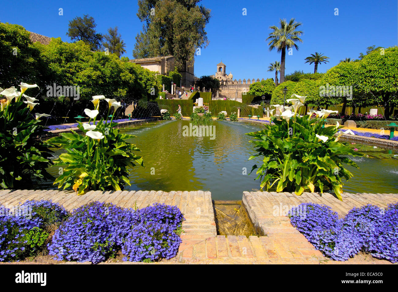 I giardini di Alcázar de los Reyes Cristianos, Alcazar dei Re Cattolici, Cordoba, Andalusia, Spagna, Europa Foto Stock