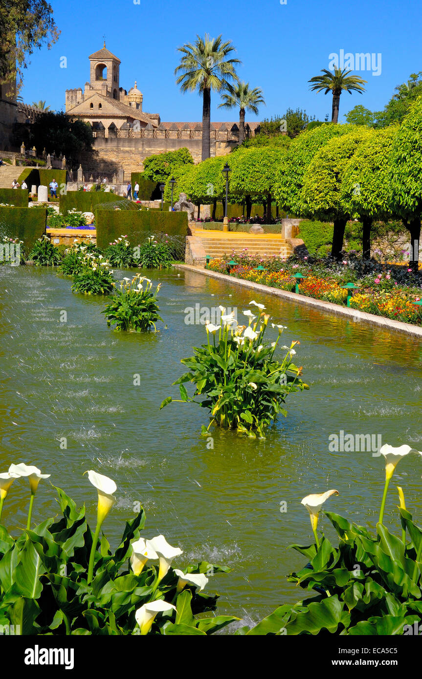 I giardini di Alcázar de los Reyes Cristianos, Alcazar dei Re Cattolici, Cordoba, Andalusia, Spagna, Europa Foto Stock