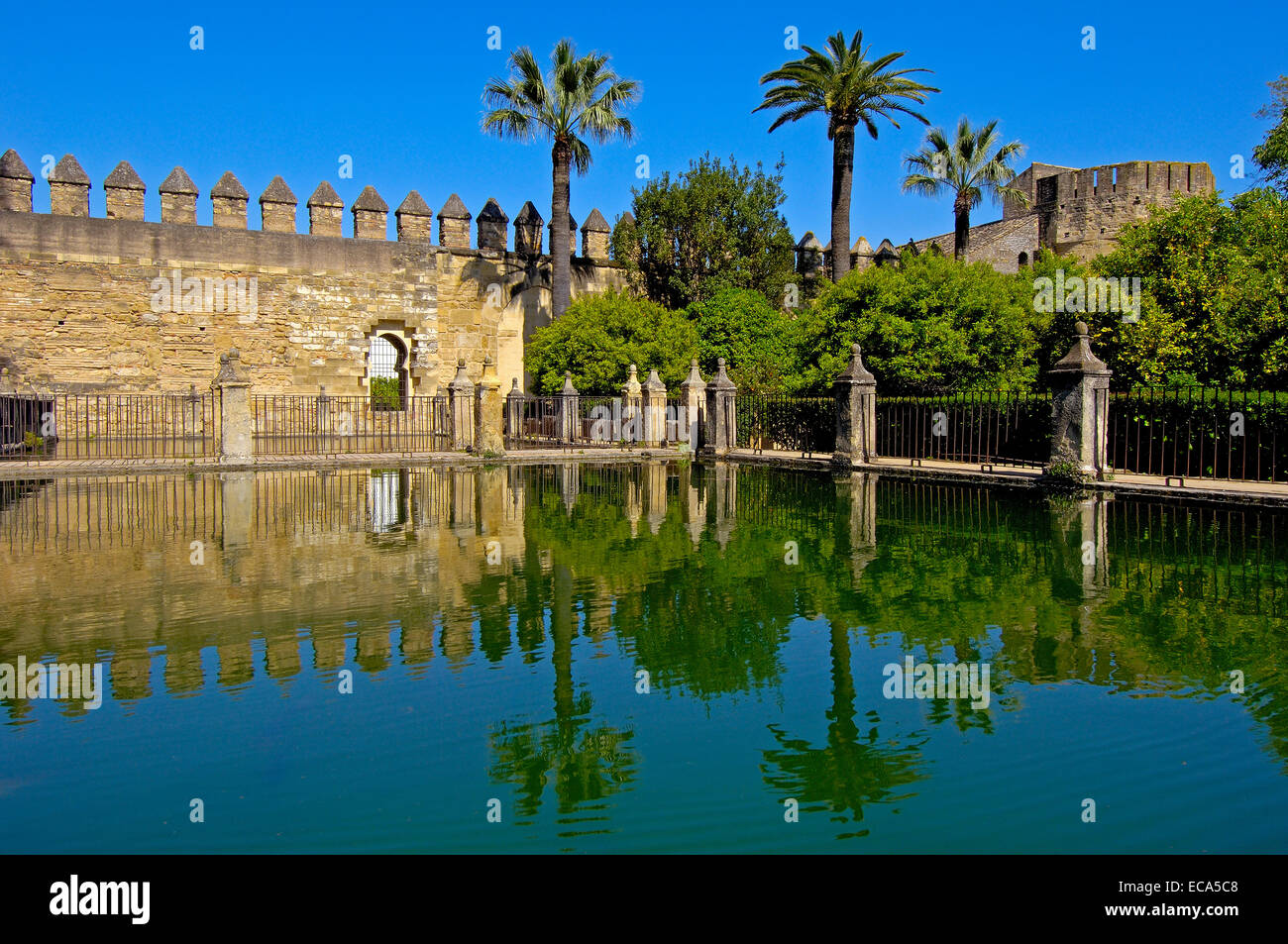 I giardini di Alcázar de los Reyes Cristianos, Alcazar dei Re Cattolici, Cordoba, Andalusia, Spagna, Europa Foto Stock