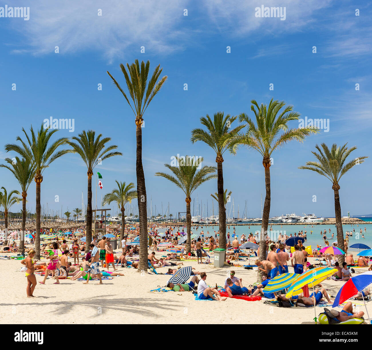 Piena spiaggia, Playa de Palma, baia di Palma di Maiorca, isole Baleari, Spagna Foto Stock