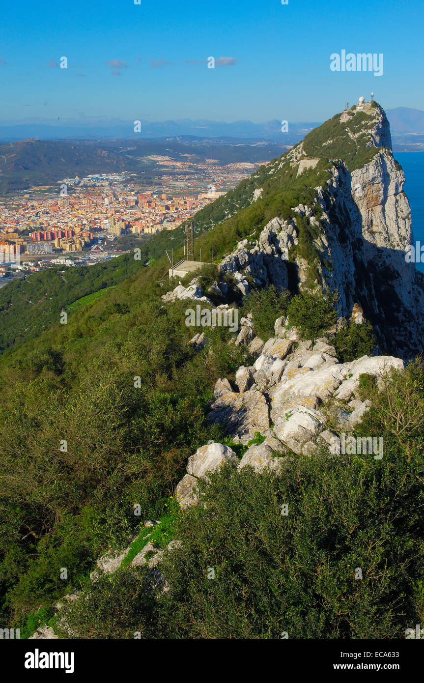 Parte superiore della roccia di fronte Gibilterra alla Spagna, Europa Foto Stock