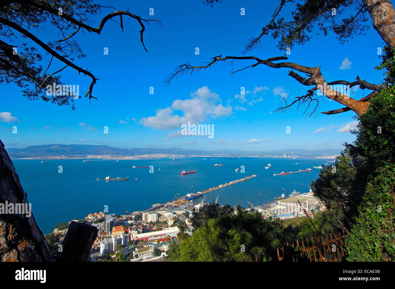 Città di Gibilterra con la baia di Algeciras, Spagna, sul retro, Gibilterra, British Overseas territorio della Penisola Iberica, Europa Foto Stock