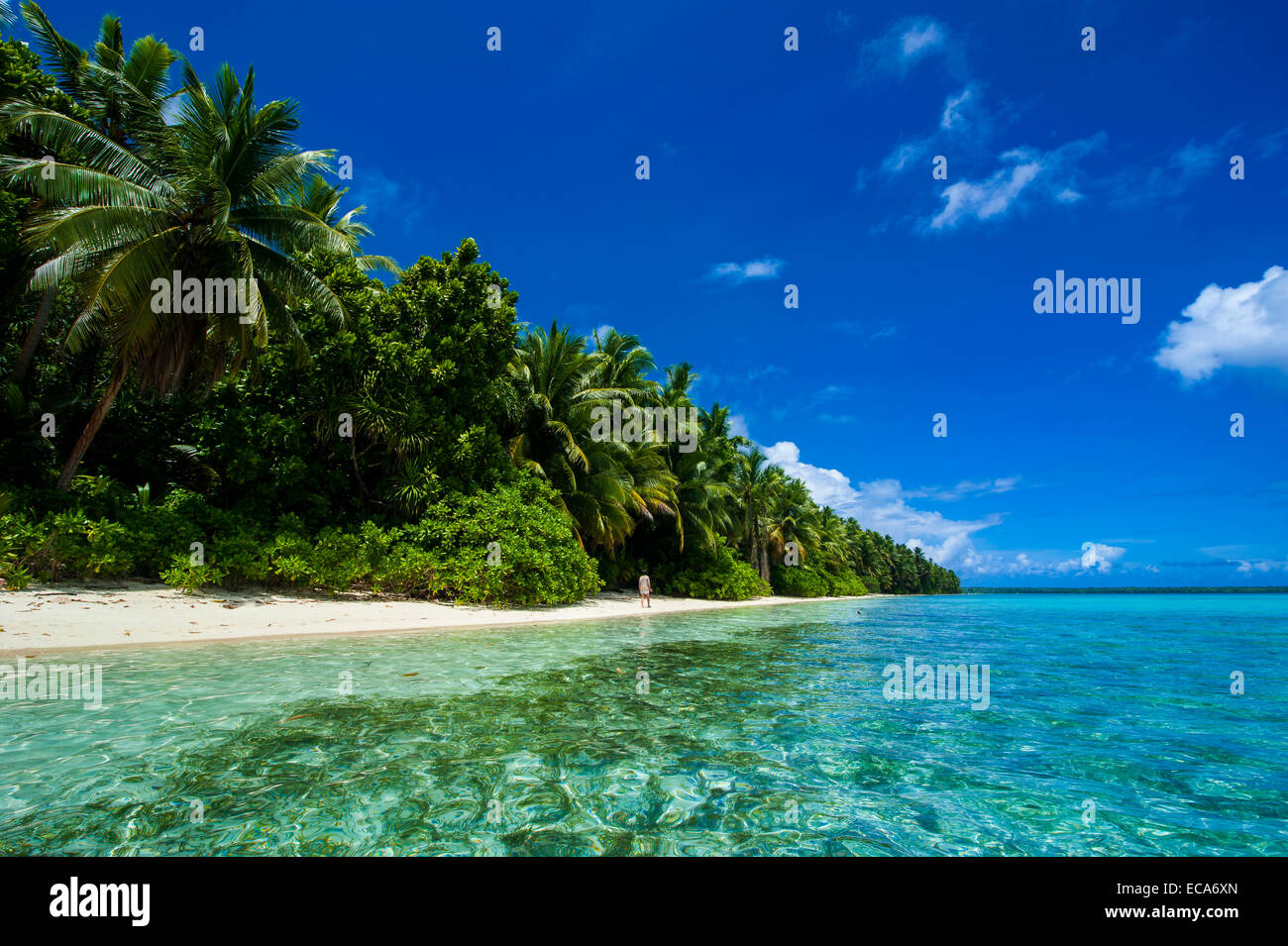 Spiaggia di sabbia bianca e acqua turchese in Ant Atoll, Pohnpei, Stati Federati di Micronesia Foto Stock
