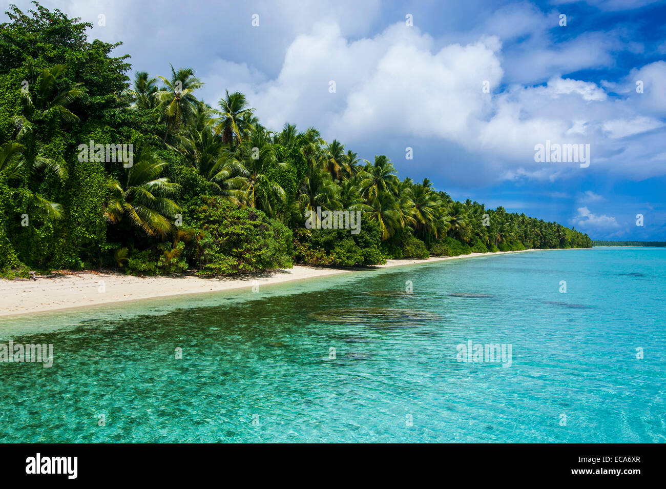 Spiaggia di sabbia bianca e acqua turchese in Ant Atoll, Pohnpei, Stati Federati di Micronesia Foto Stock