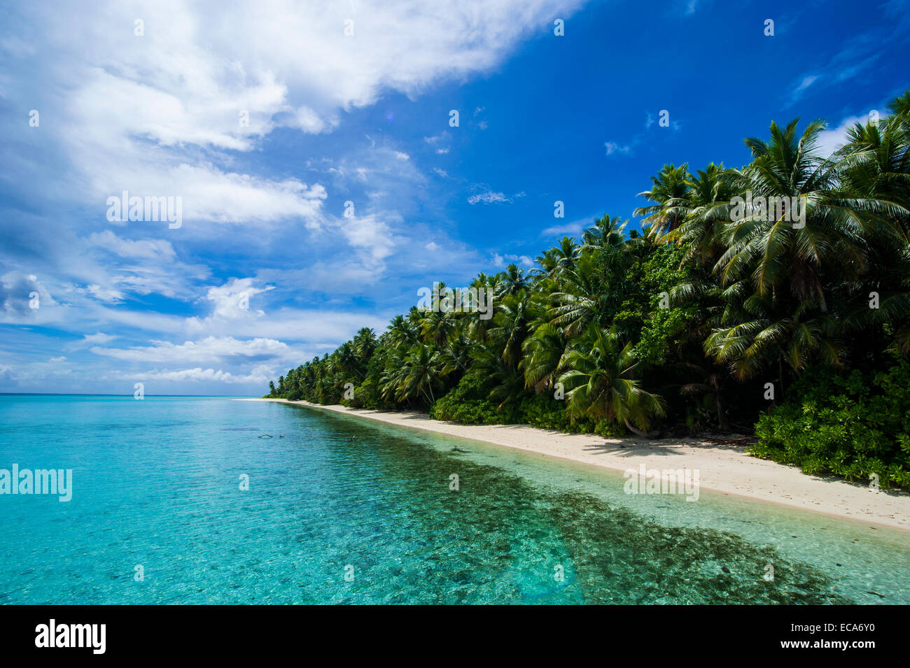 Spiaggia di sabbia bianca e acqua turchese in Ant Atoll, Pohnpei, Stati Federati di Micronesia Foto Stock