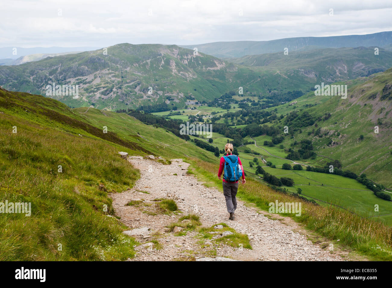 Donna con zaino camminando sulla via con Grisedale Beck al di sotto, Lake District, Cumbria, England, Regno Unito Foto Stock