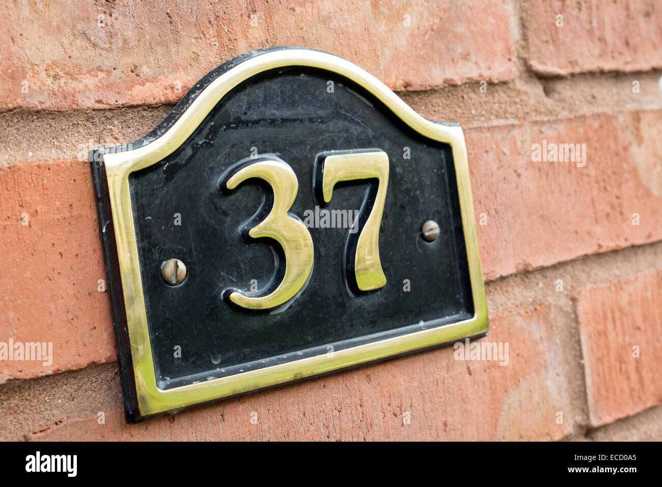 Il numero 37 su una lastra di ottone fissato al rosso mattone un muro di una casa a significare indirizzo Foto Stock
