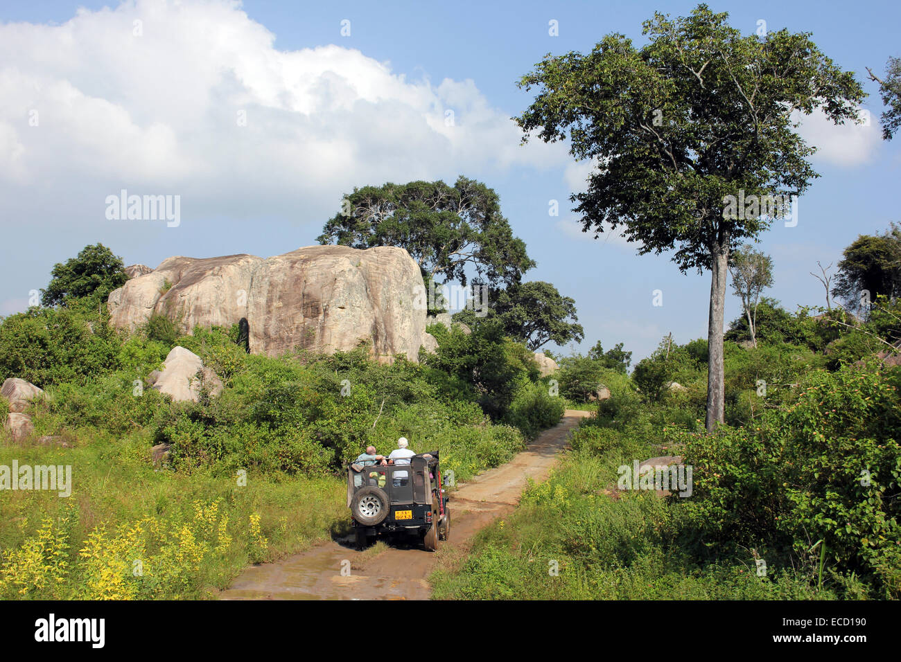 Turisti che si godono un safari in jeep in Hurulu Eco-Park una società internazionale di riserva della biosfera, Sri Lanka Foto Stock