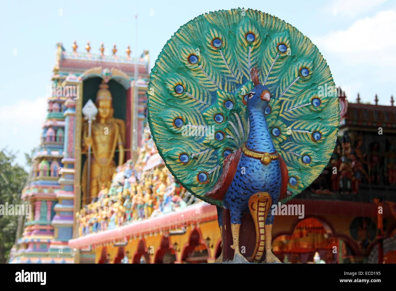 Peacock decorazione sul Munneswaram Hindu Temple, Sri Lanka Foto Stock