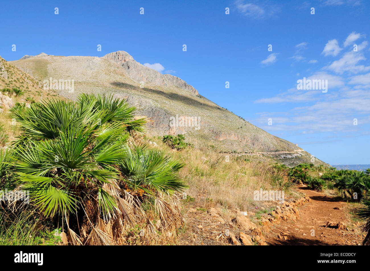 Vista sul Monte Rosso del lupo nella Riserva Naturale dello Zingaro, riserva dello Zingaro vicino a Scopello, Sicilia Foto Stock