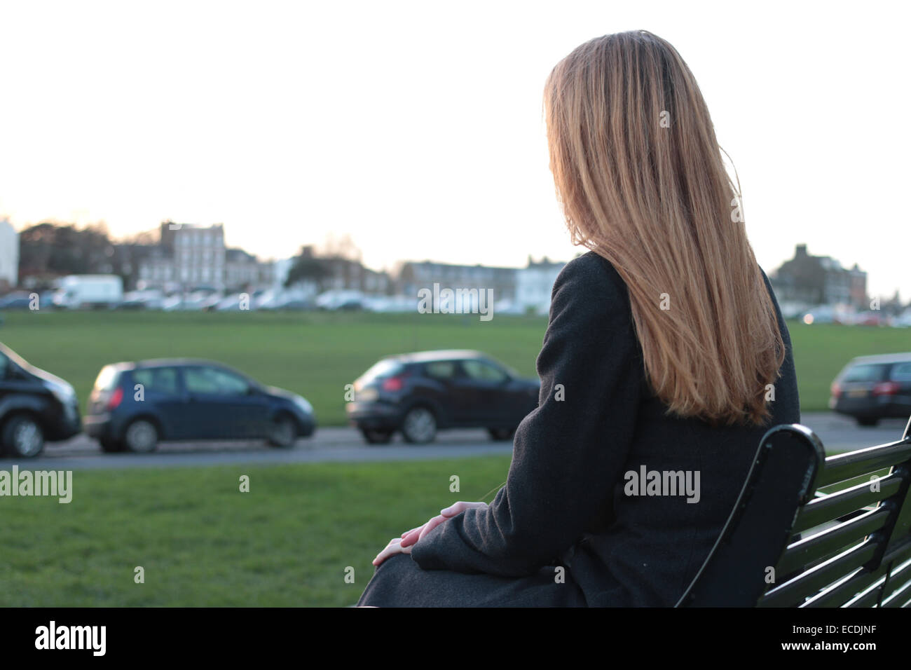Vista posteriore del colpo di una giovane donna seduta su una panchina, esaminando la distanza in un parco con le automobili parcheggiate. Foto Stock