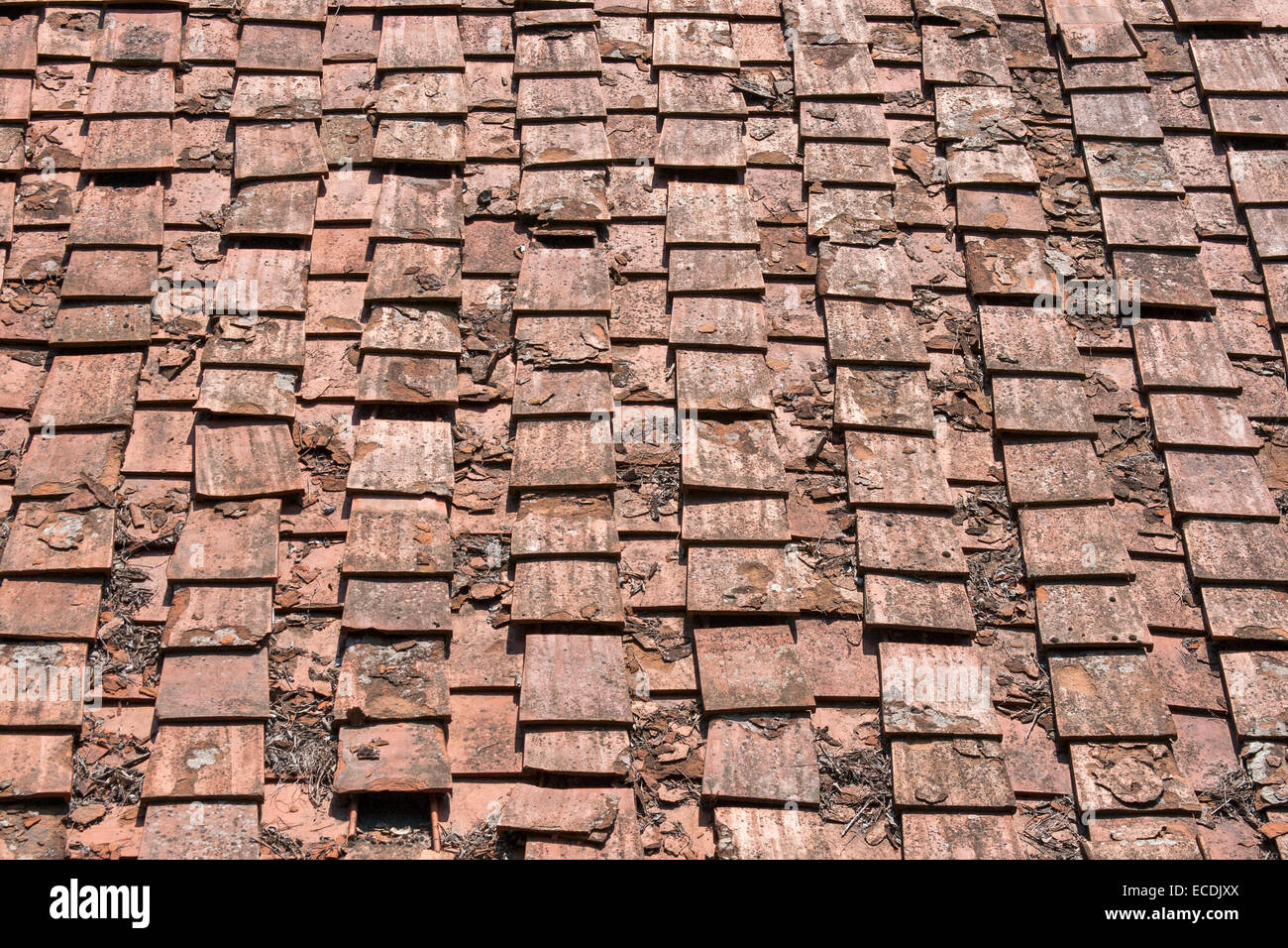 Antica terracotta tegola di tetto, Toscana, Italia Foto Stock