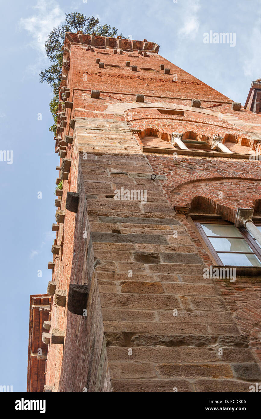 Torre Guinigi a Lucca, Italia, con alberi sulla parte superiore, 44 metri di altezza, 230 passi Foto Stock