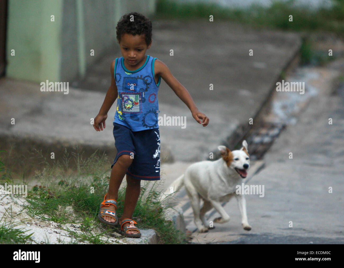 Belo Horizonte, Brasile. Undicesimo Dec, 2014. Miguel gioca con il cane di nome Pitucha in Ibiritem nell'area metropolitana di Belo Horizonte, Minas Gerais, Brasile, a Dic. 11, 2014. Il 5-year-old dog Pitucha è diventata un'eroina in Ibiritem dopo aver seguito e riportare a casa il ragazzo Miguel di tre anni che è stato perso per quattro ore. © AGENCIA ESTADO/Xinhua/Alamy Live News Foto Stock