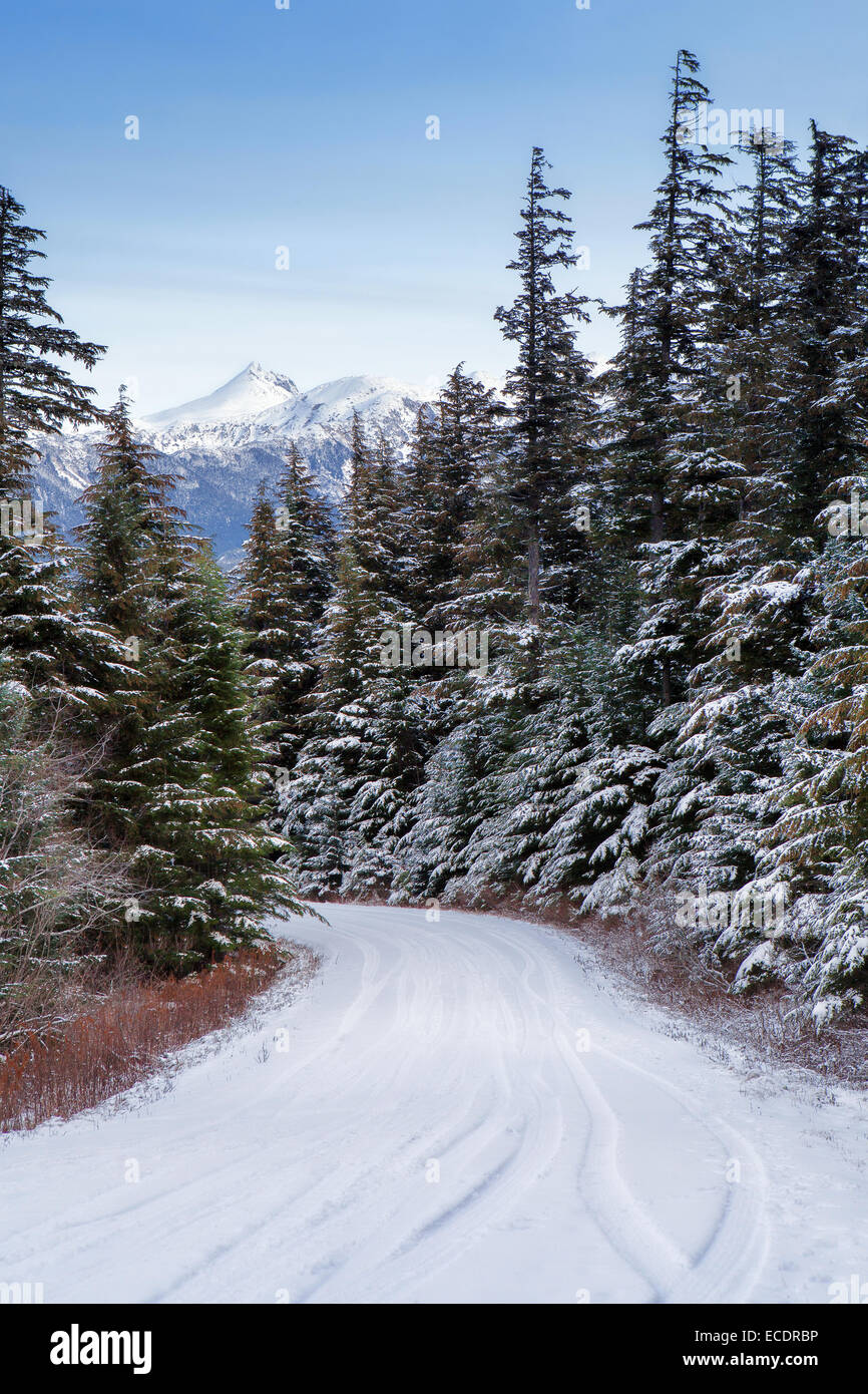 Stretto viale alberato di strada di montagna nel sud-est dell Alaska in inverno con pneumatici freschi le vie e cime coperte di neve in background. Foto Stock