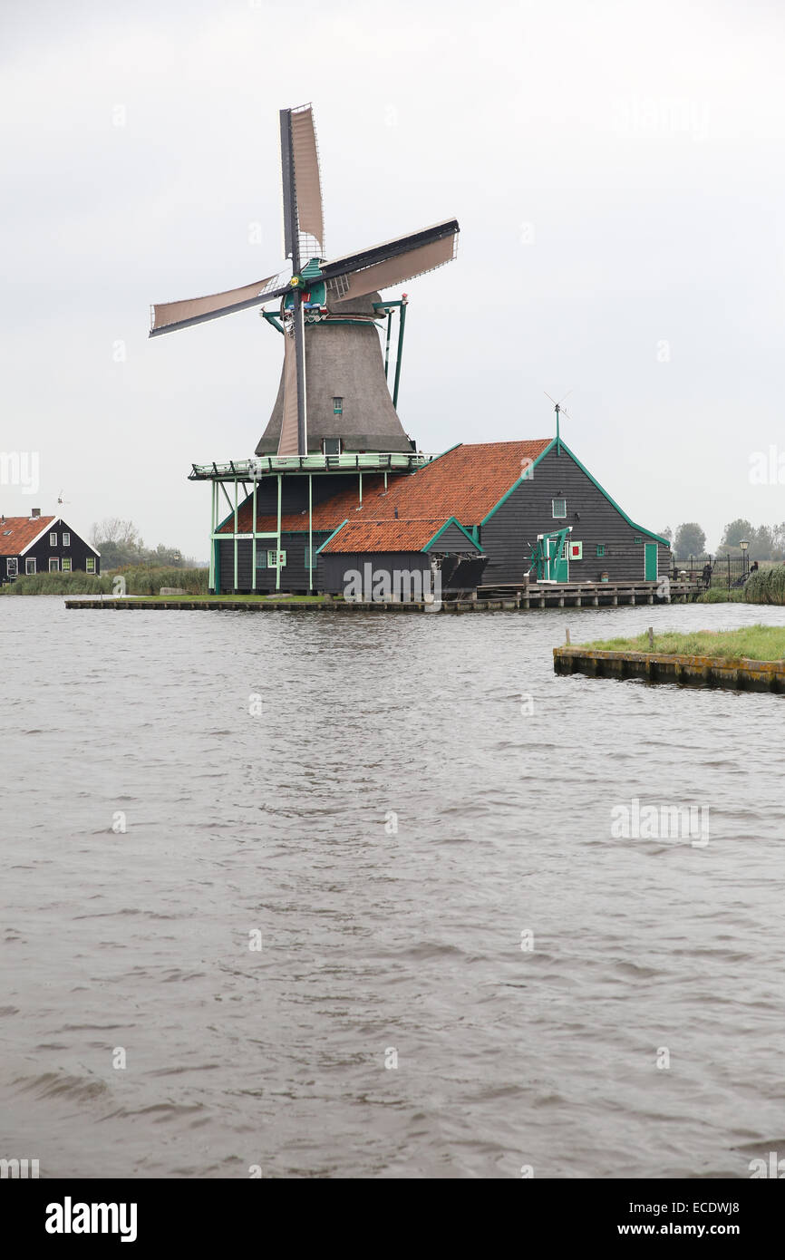 Mulino a vento olandese Zaanse Schans Foto Stock
