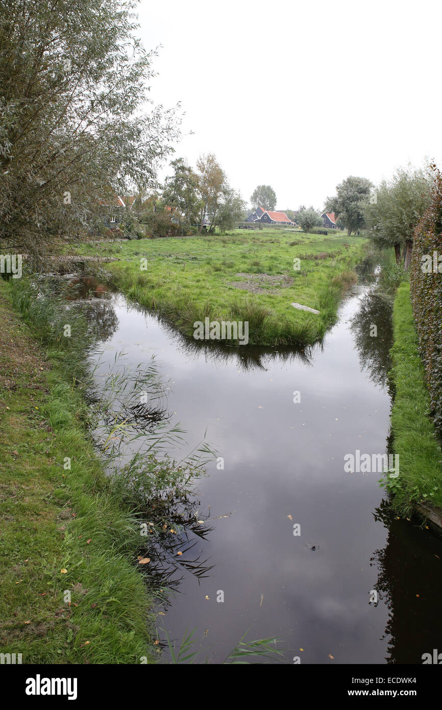 Campagna Olandese fiume erba terreni agricoli Foto Stock