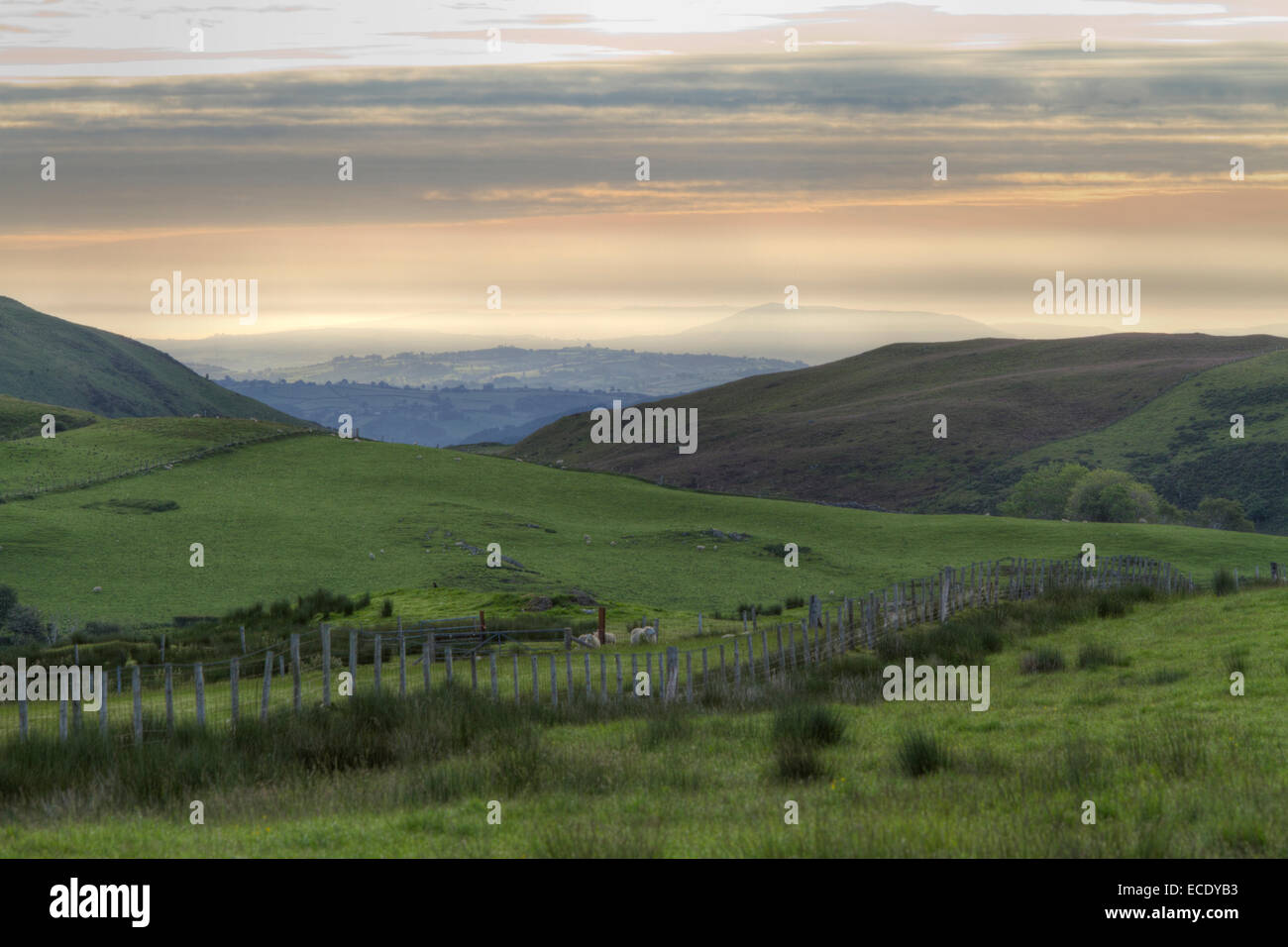 Vista la mattina presto, dal Cambriano montagne vicino Llanidloes verso Montgomery e il confine italiano. Powys, Galles. Foto Stock