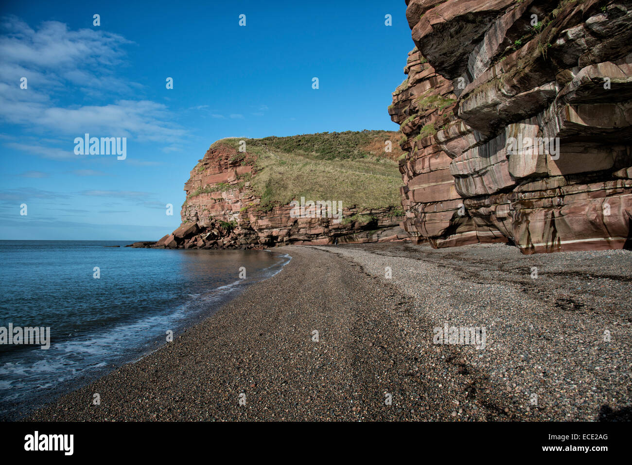 Bella spiaggia di ciottoli con scogliere di arenaria come sfondo a Fleswick Bay appena a nord di St Bees in Cumbria Costa del patrimonio Foto Stock