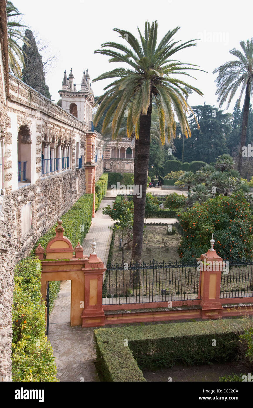 Vista del palazzo di Alcazar, Sevilla, Andalusia, Spagna Foto Stock