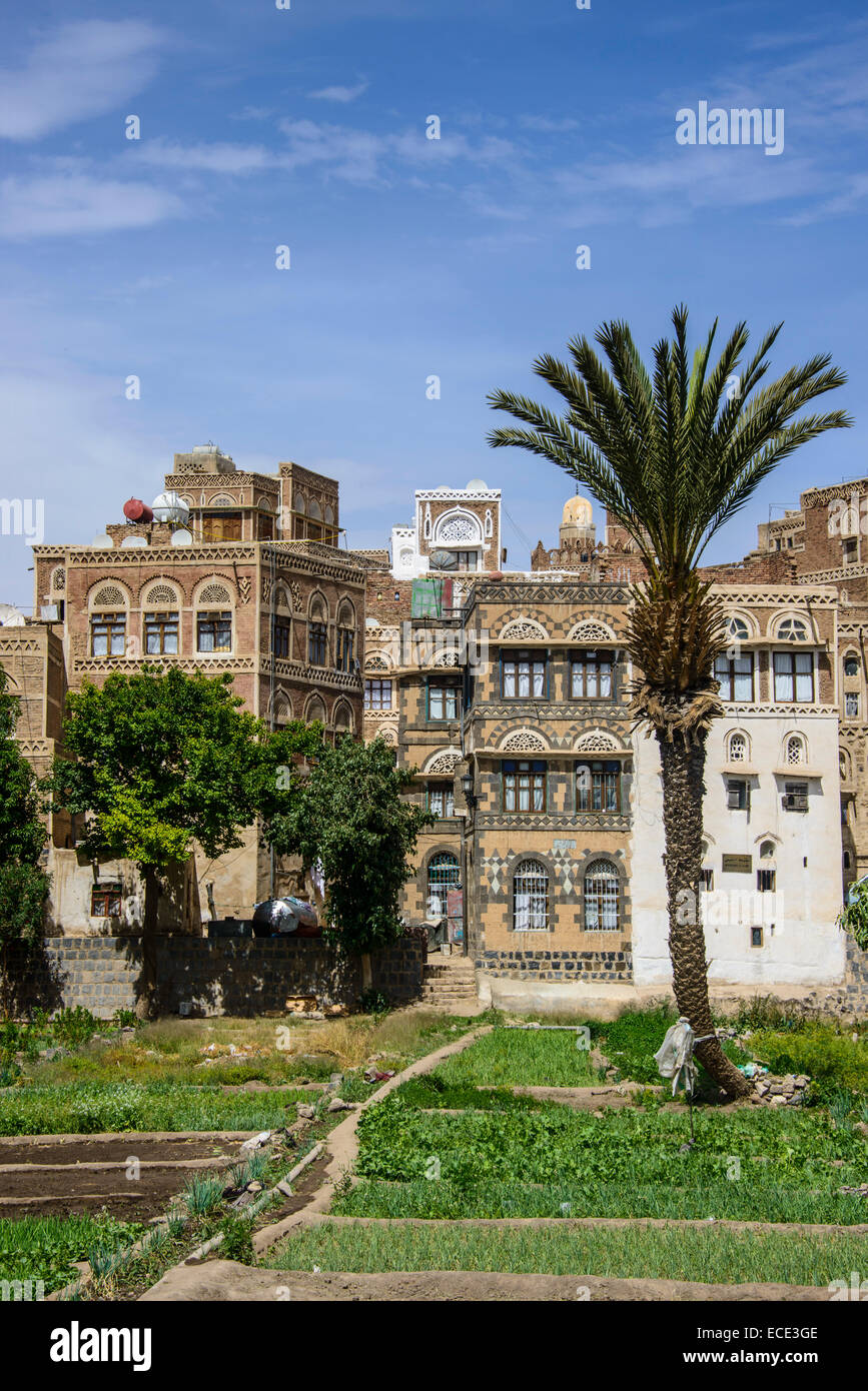 Tradizionali di vecchie case nella città vecchia di Sana'a, Sito Patrimonio Mondiale dell'UNESCO, Sana'a, Yemen Foto Stock