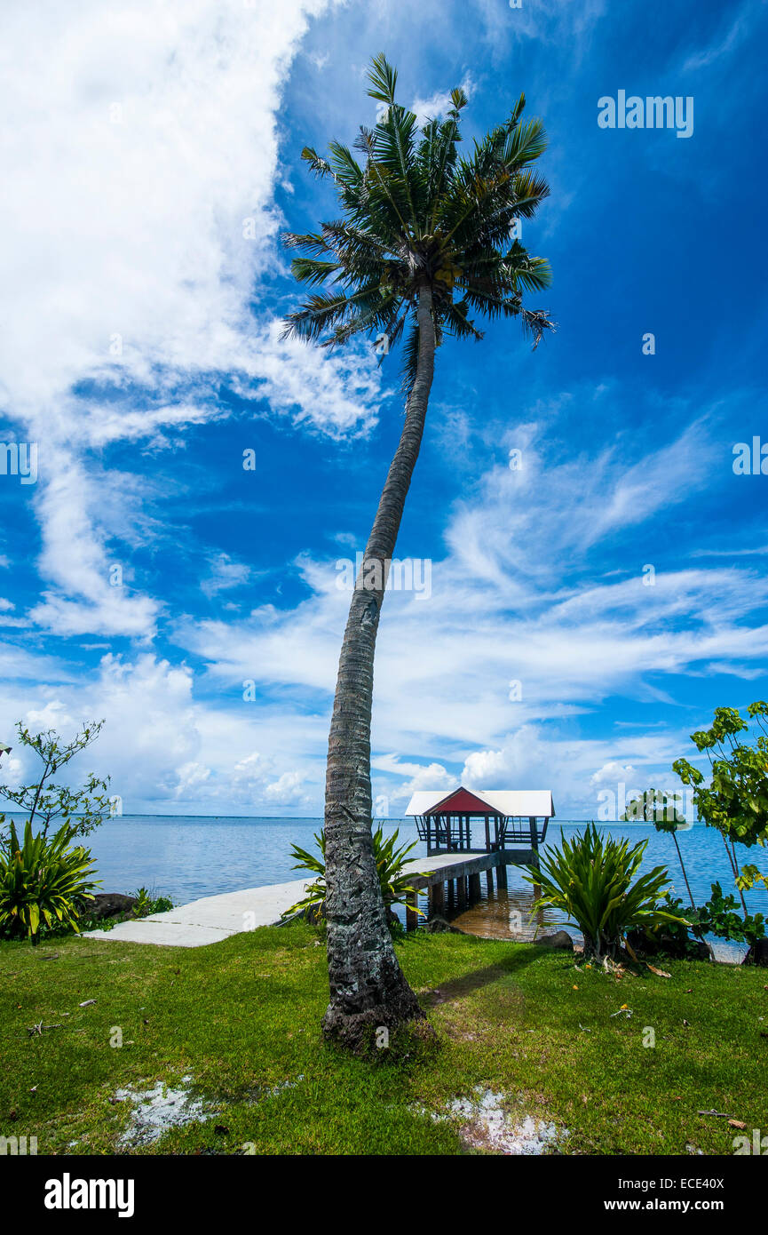 Il molo, Babeldoab isola, Palau Foto Stock