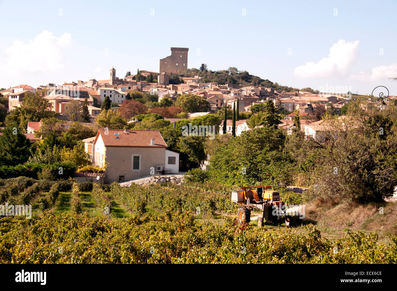 Chateau Neuf du Pape Cotes du Rhone vino cantina Vigna vintage il francese in Francia Foto Stock