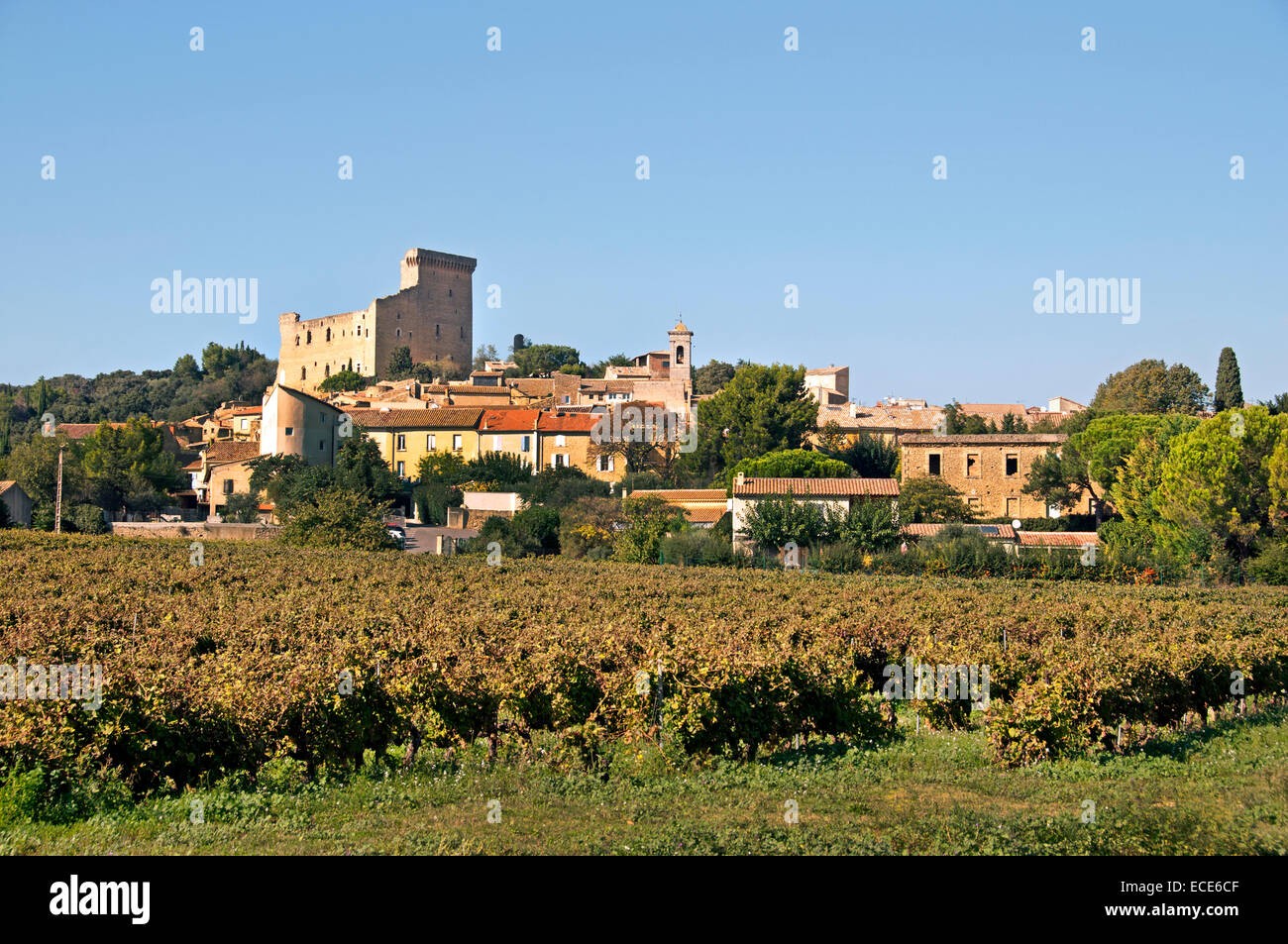 Chateau Neuf du Pape Cotes du Rhone vino cantina Vigna vintage il francese in Francia Foto Stock