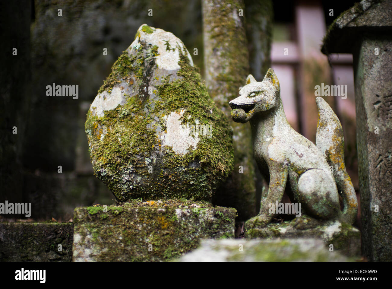 Fushimi Inari Taisha, Fushimi-ku, Kyoto, Giappone. Foto Stock