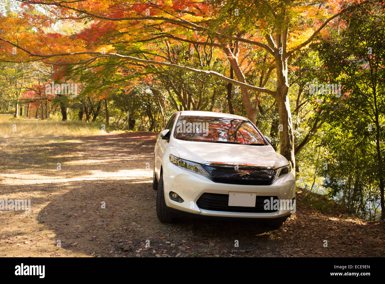 Giapponese auto parcheggiata su una pista accanto ai colori autunnali, Uji, Giappone. Foto Stock