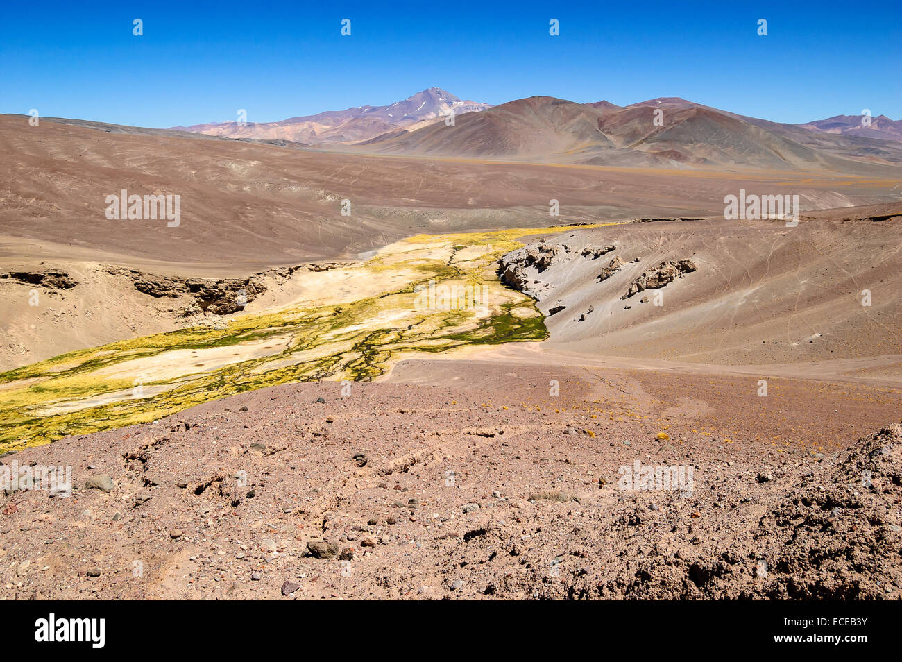 Il Cile, il Deserto di Atacama, Fiume Foto Stock