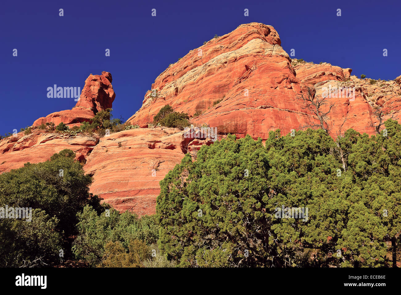 Stati Uniti d'America, Arizona Sedona, il red rock knight custodendo il suo castello Foto Stock
