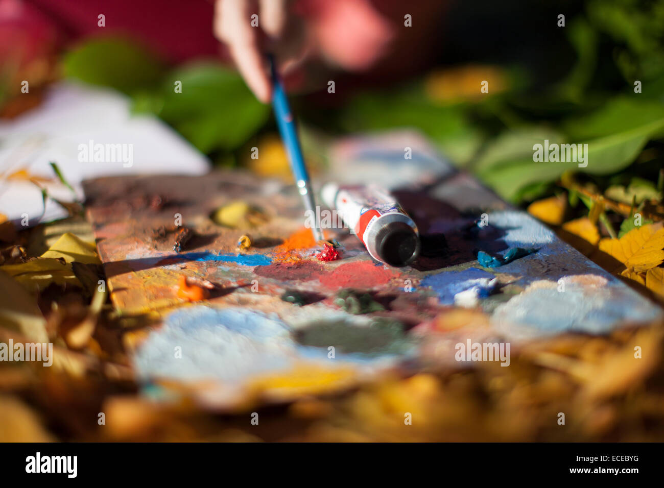 Persona dipingere Foto Stock