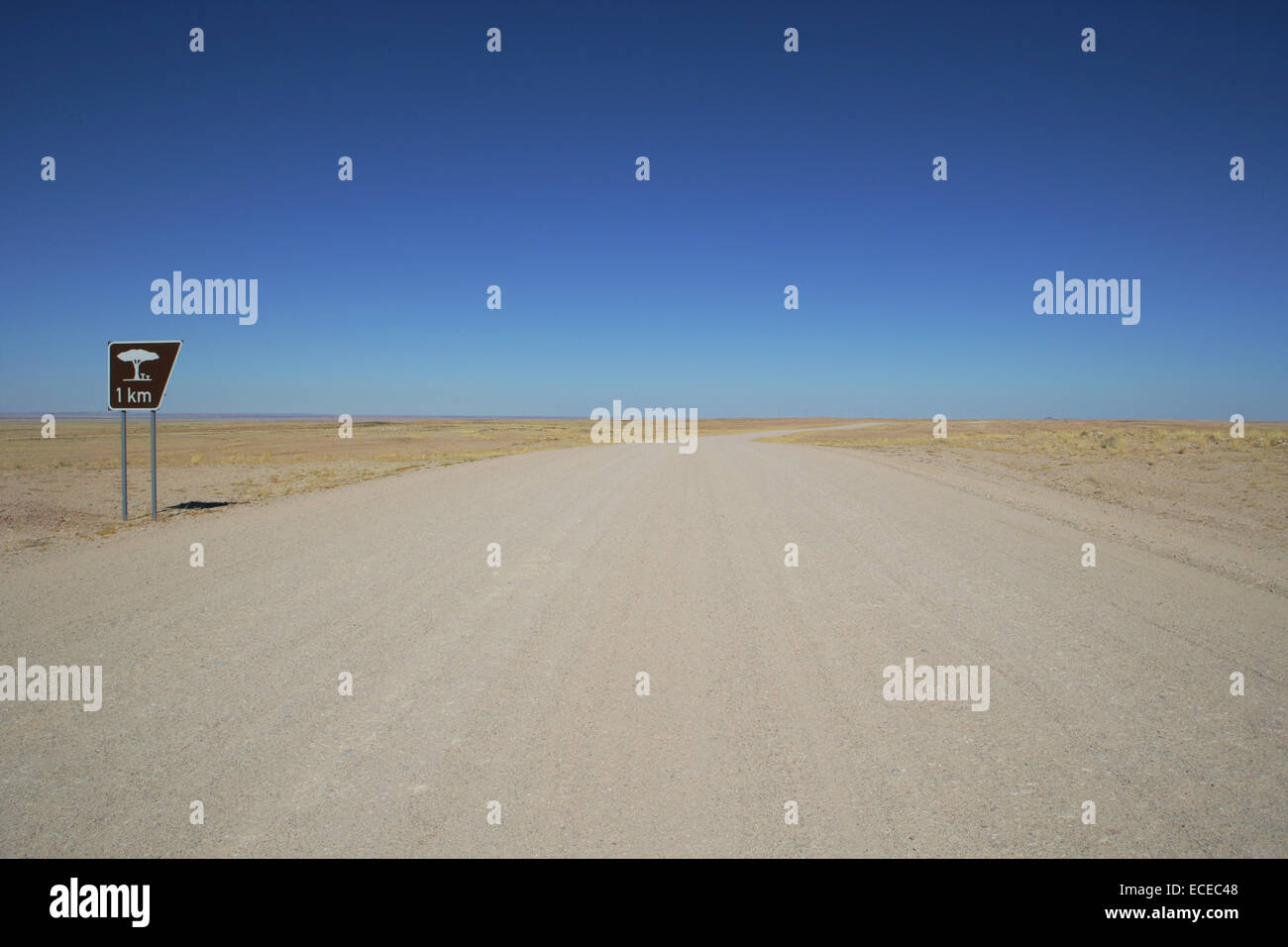 Vista lungo la strada desertica vuota con indicazione per l'area di riposo, deserto del Namib, Namibia Foto Stock