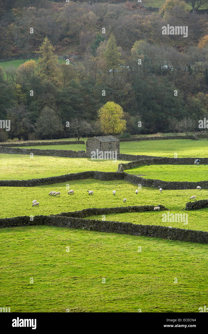 Gunnerside fondelli, Swaledale, Yorkshire Dales National Park Foto Stock