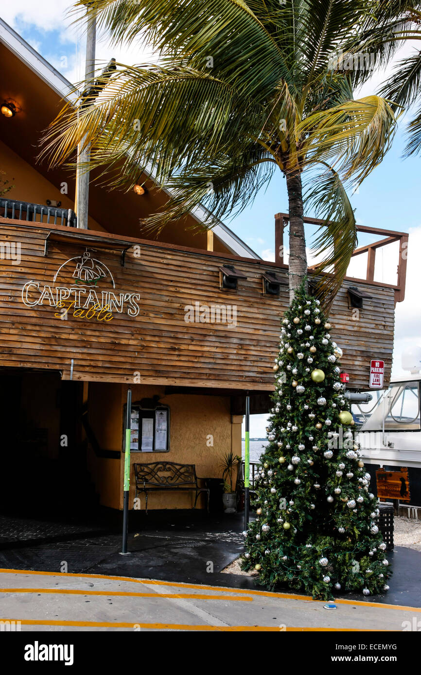 Un albero di palma ristorante nascosto in Florida è decorato per il Natale con un albero coperto di tinsel e baubles Foto Stock