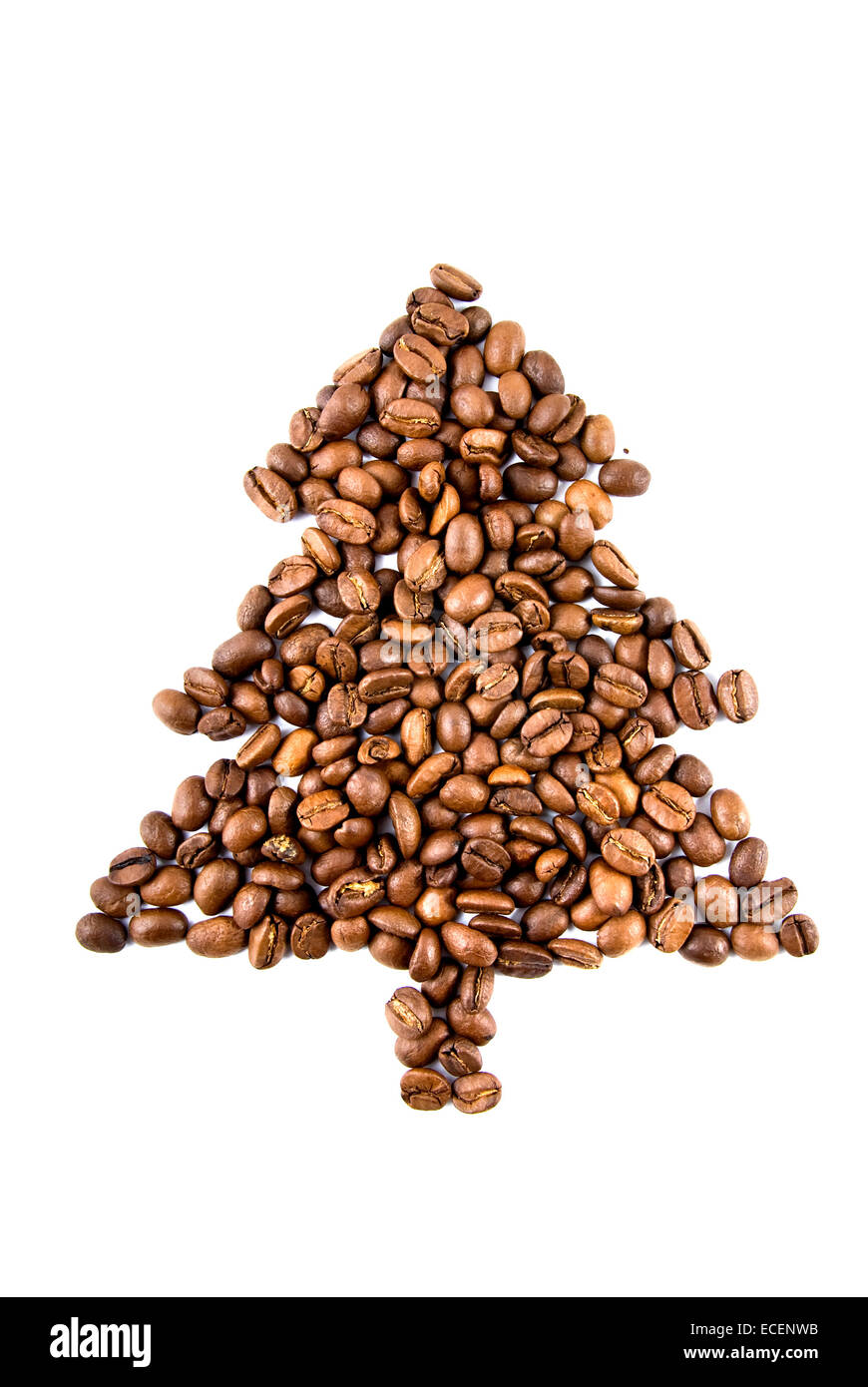 L'abete bianco da chicchi di caffè isolato su bianco Foto Stock