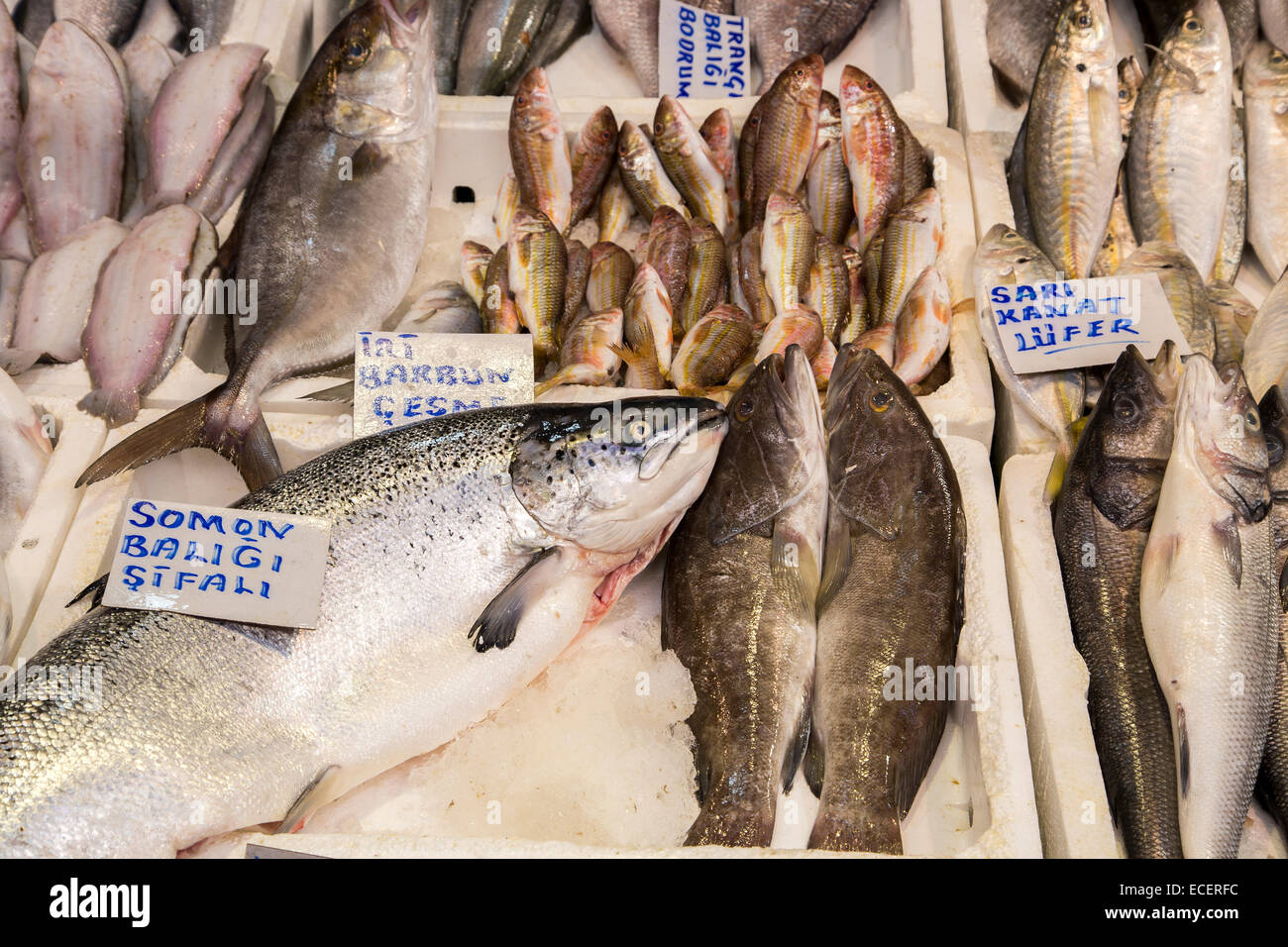 Vari pesci sul ghiaccio contatore al mercato del pesce Foto Stock