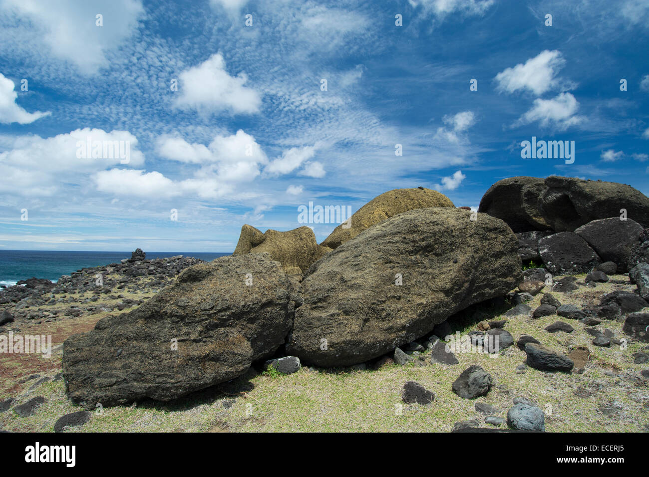 Il Cile, Isola di Pasqua aka Rapa Nui. Non ripristinati storico sito di moai di Ahu uno Makihi situato nei pressi di Rano Raraku. Rovesciato moai statua Foto Stock